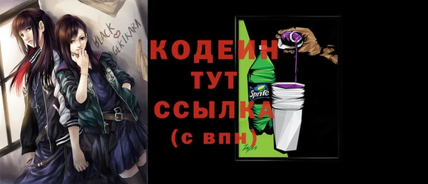 стафф Коряжма