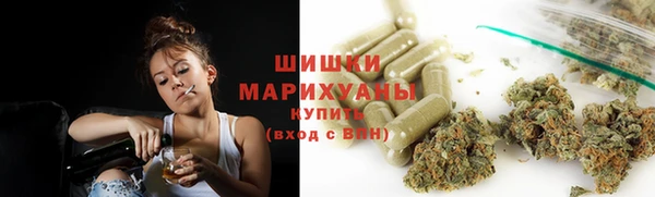 стафф Коряжма