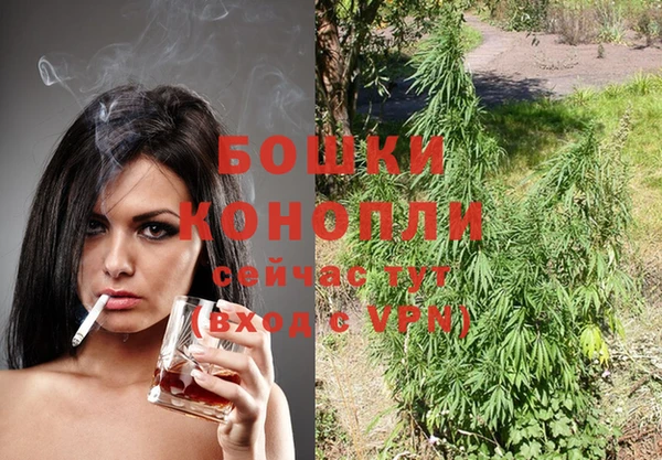 стафф Коряжма